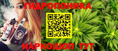 тгк Канаш